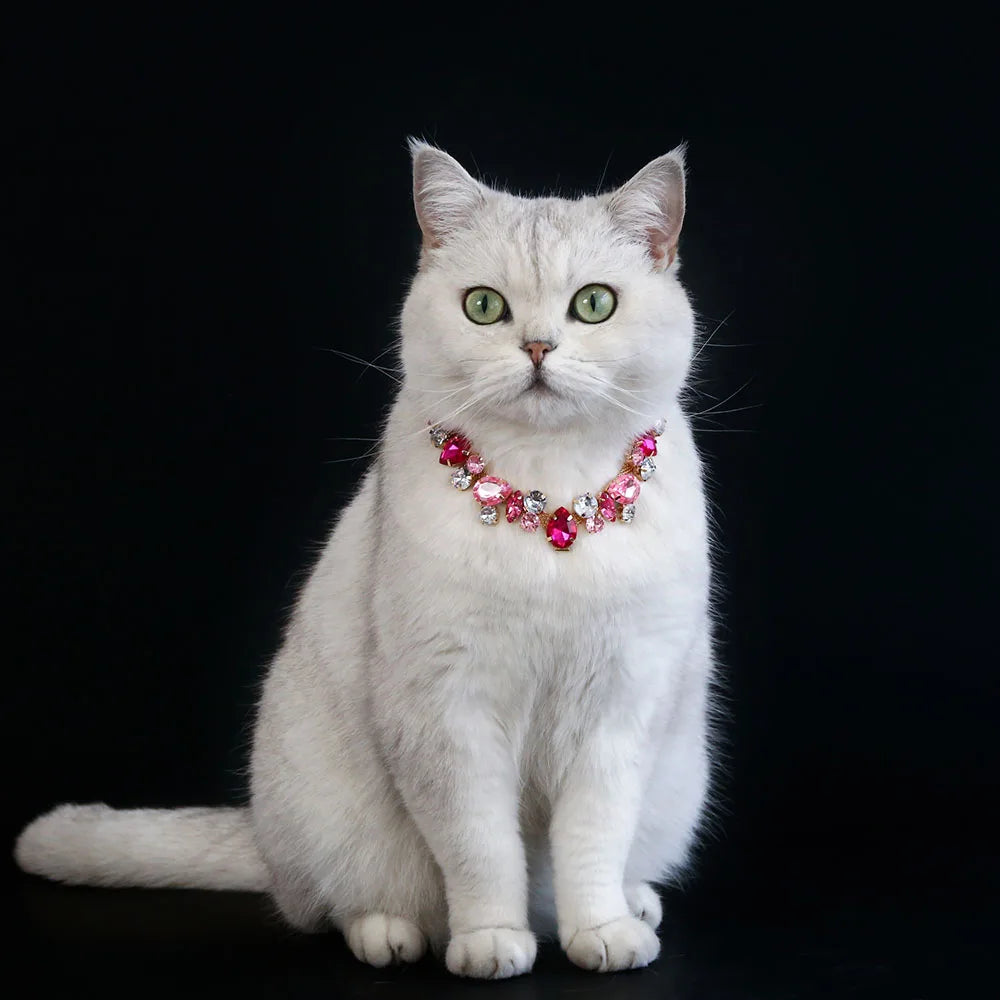 CrystalPup Halo Collar image 3