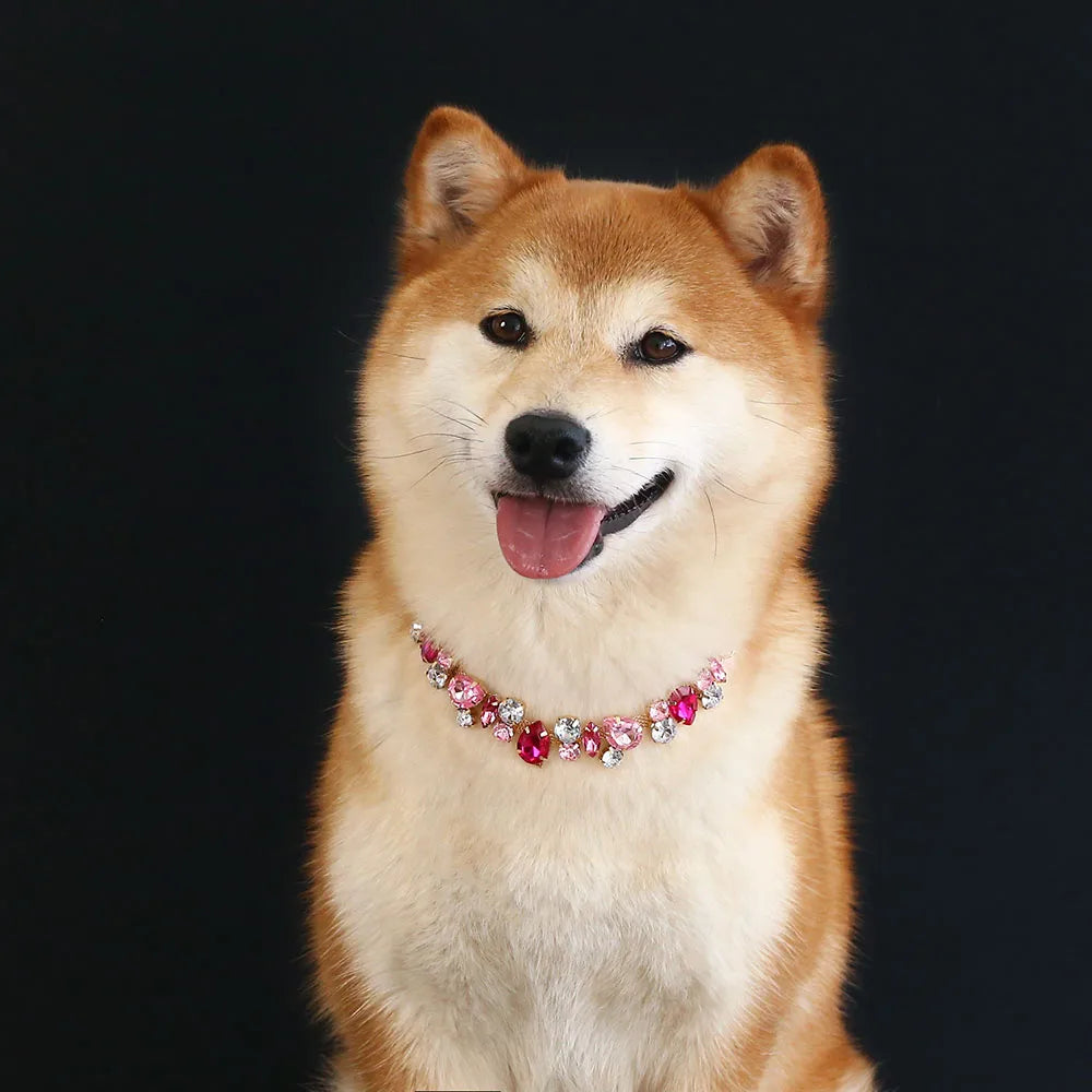 CrystalPup Halo Collar image 2
