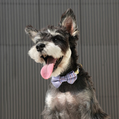 Bowtie ID Collar image 6